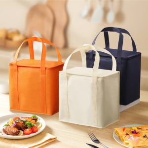 Havanah non woven cooler bag